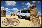 Back Country Safaris